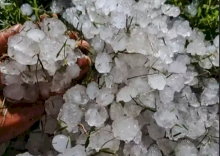 Granizo de maio causou perda de 2,1 mil hectares de milho no sul de MS