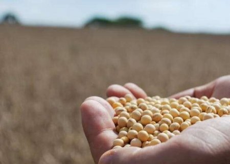 VBP de MS cresce quase 60% em 10 anos e supera R$ 84 bilh&otilde;es no campo