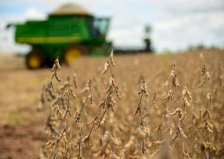 C&acirc;mbio pode definir lucro ou preju&iacute;zo da soja em MS, aponta estudo do Cepea