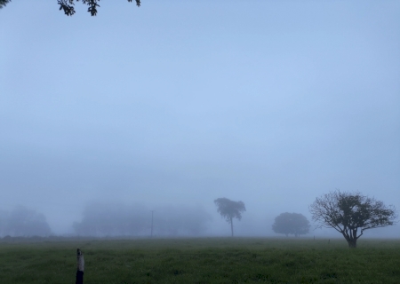 MS pode registrar m&iacute;nima de 10&deg;C nesta semana; frio deve atingir cidades do sul>