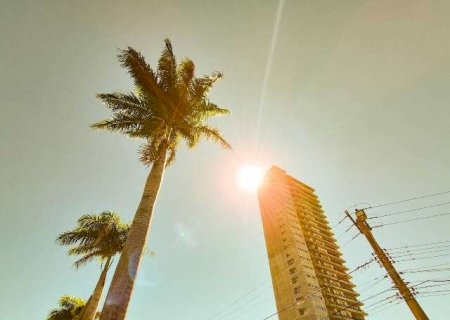 Campo Grande lidera sele&ccedil;&atilde;o nacional de projetos sobre sa&uacute;de e clima