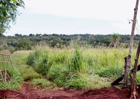 Corpo de idoso é encontrado dentro de saco em área de brejo em MS
