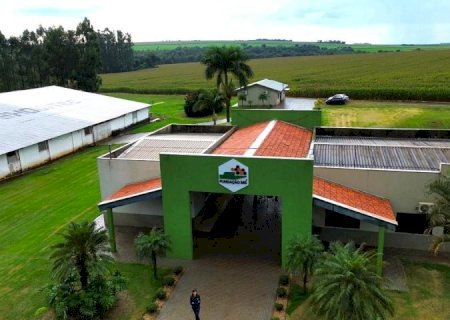 Da pesquisa à lavoura: Fundação MS transforma ciência em decisões mais seguras para o agro
