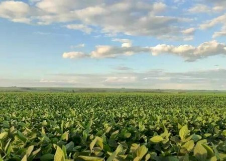 Produtores de MS terão acesso a R$ 13,4 bilhões no Plano Safra