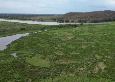 Com canal travado e via inundada, comunidade volta a ficar isolada no Pantanal