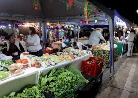 Com música e mais de 60 expositores, Feira dos Ipês acontece nesta terça-feira