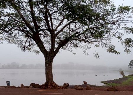 Coberta por neblina, Dourados pode ter chuva e temperatura de até 33°C neste sábado