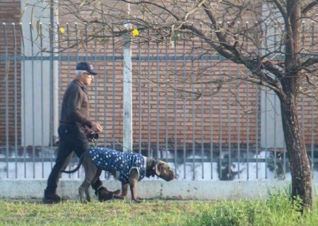 Menor temperatura registrada em MS foi de 6,4&deg;C, em Amambai>