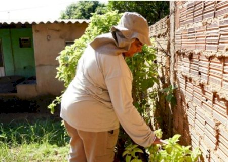 Com 10 mil casos de chikungunya, MS prepara sa&uacute;de para efeitos do El Ni&ntilde;o