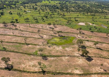 Pantanal passa a ter unidade regional para atuar em inc&ecirc;ndios e desmate