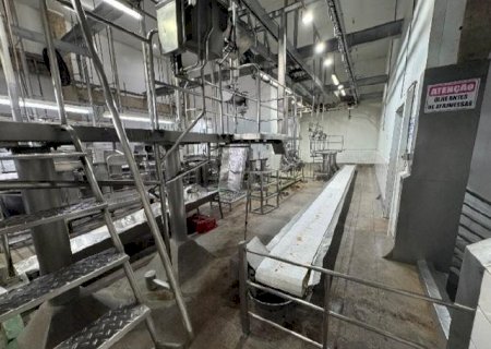 Frigor&iacute;fico Balbinos de Sidrolândia, em recupera&ccedil;&atilde;o judicial, demite 350 funcion&aacute;rios por falta de caixa