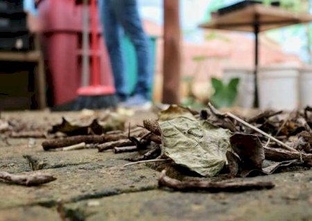 Folhas secas do quintal podem fazer voc&ecirc; economizar dinheiro