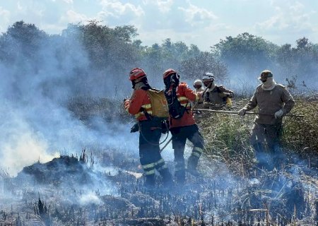 Enquanto fogo recua no Cerrado, Pantanal tem alta de 179% em MS