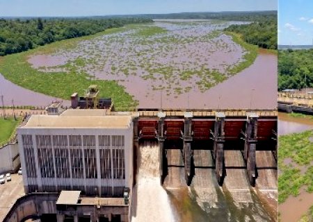 Usina alega não ter sido comunicada de ordem para retirar plantas do Rio Pardo