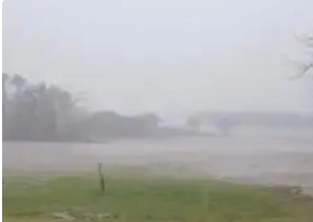 Ap&oacute;s dois meses de estiagem, chuva renova esperan&ccedil;a na Serra do Amolar