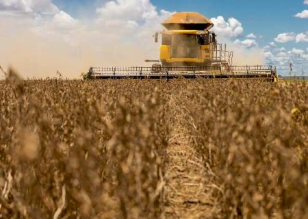 Soja em MS exige 42 sacas por hectare para cobrir custo na safra 2026/27