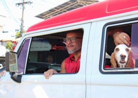 Kombi dos cachorros leva até 15 pets e rouba olhares pelas ruas