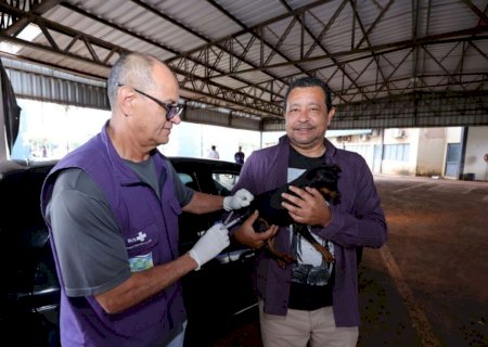 Dourados leva hoje vacinação antirrábica para cinco pontos da cidade