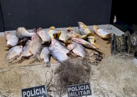 Pescado irregular rende R$ 88 mil em multas após apreensão de 38 kg em Deodápolis