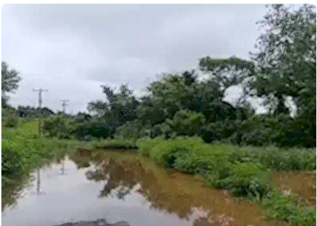 Rio Apa transborda em Bela Vista e for&ccedil;a retirada de moradores de &aacute;reas de risco