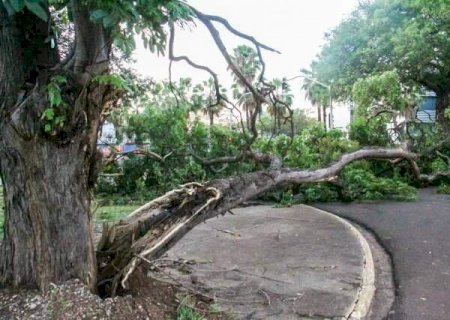 MS ter&aacute; quatro dias de alerta para tempestades e ventos de at&eacute; 60 km/h