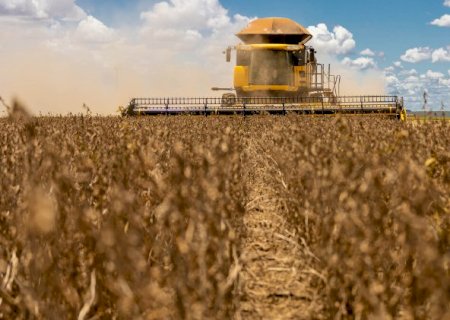 Mercado já absorveu 91% da soja e 51% do milho produzido em MS