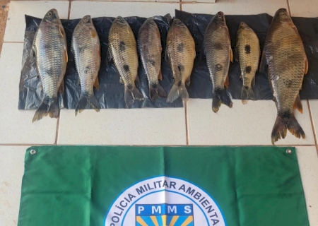 No Rio Dourados, PMA prende pescador em flagrante com dourado e aplica multa de R$ 11 mil