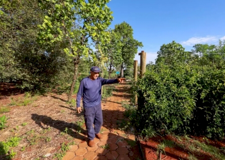 Na UFMS, agricultor e professora trocam saberes para produzir medicamentos
